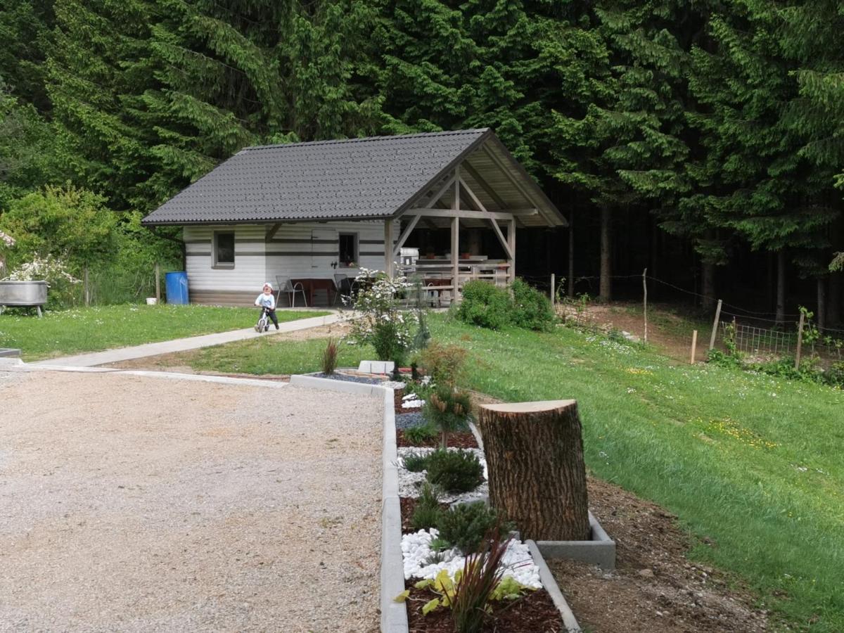 Hotel Gostilna S Prenocisci Pav Rakek Exterior foto